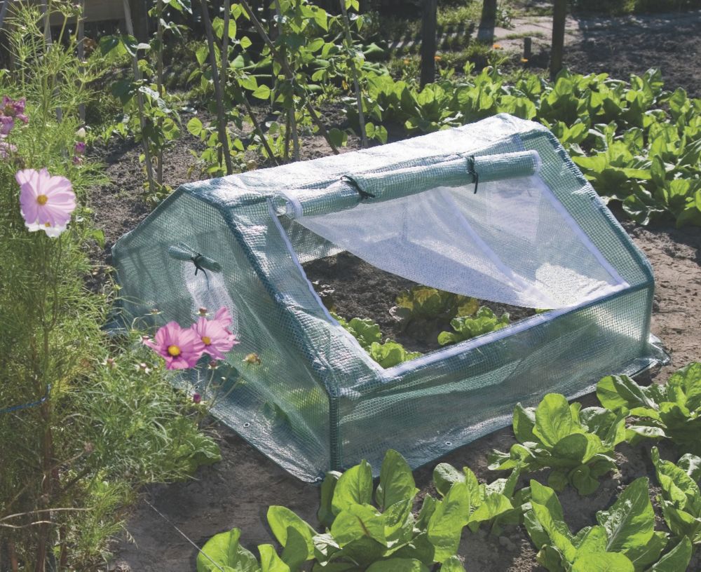 Apollo Plastic Cold Frame Greenhouse 1200 x 1200 x 600mm