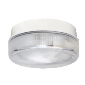 ASD Drum Light 100W White