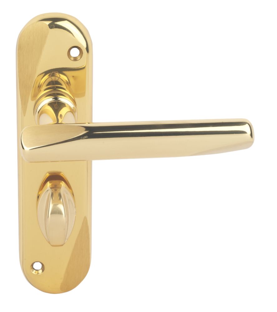 Hoppe Barcelona Lever on Backplate WC Polished Brass Satin Brass