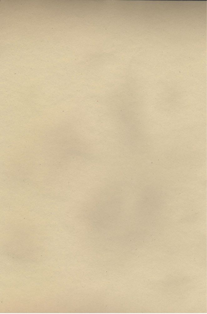 BampQ Value Smooth White Lining Paper 540mm x 10m