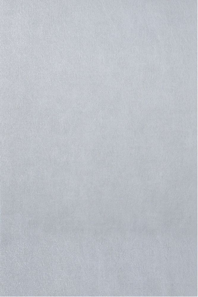 Colours Collection by BampQ Silver Effect Textured Wallpaper 530mm x 1005m