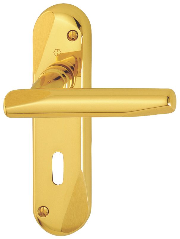 Hoppe Barcelona Lever on Backplate Lock Polished Brass Satin Brass