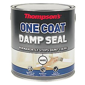 Thompson39s One Coat Damp Seal 25Ltr