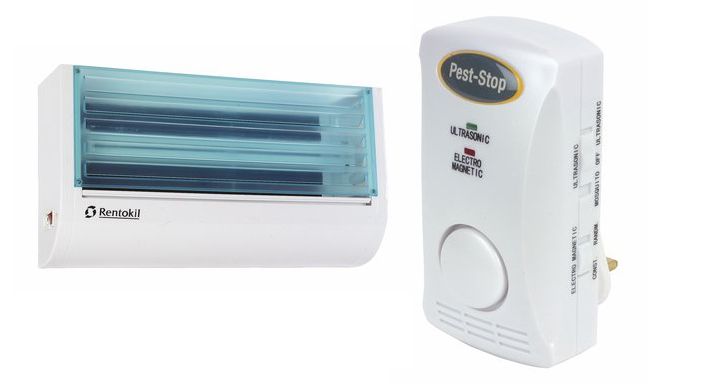 Insect & Pest Control