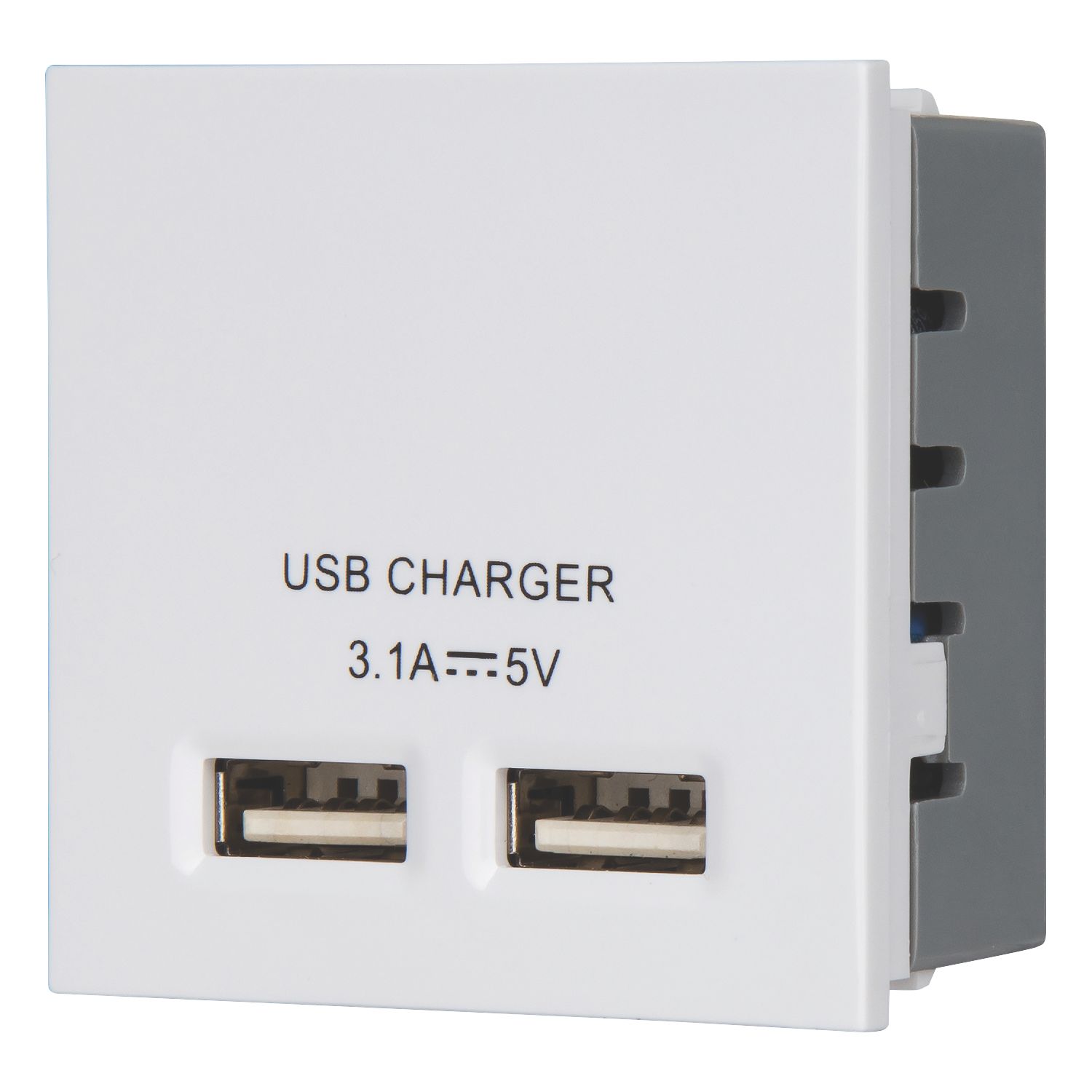 LAP Modular 3.1A 15.5W 2-Outlet Type A USB Socket White (151CC)