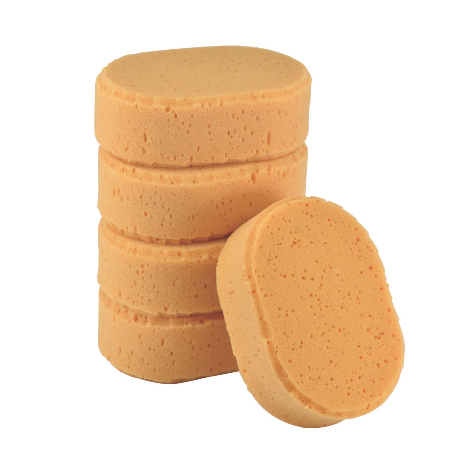 Essentials Sponge 115mm x 170mm 5 Pack (182VE)