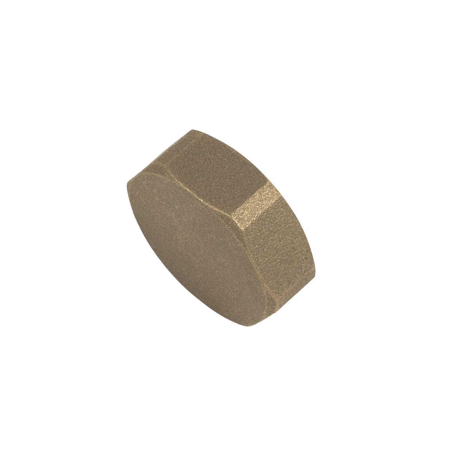 Flomasta BSP Female Cylinder Blank 1" x (21851)