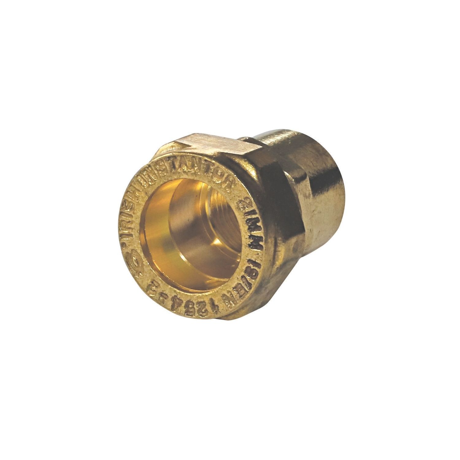 Instantor Brass Compression Adapting Female Coupler 1" x 1" (239CL)