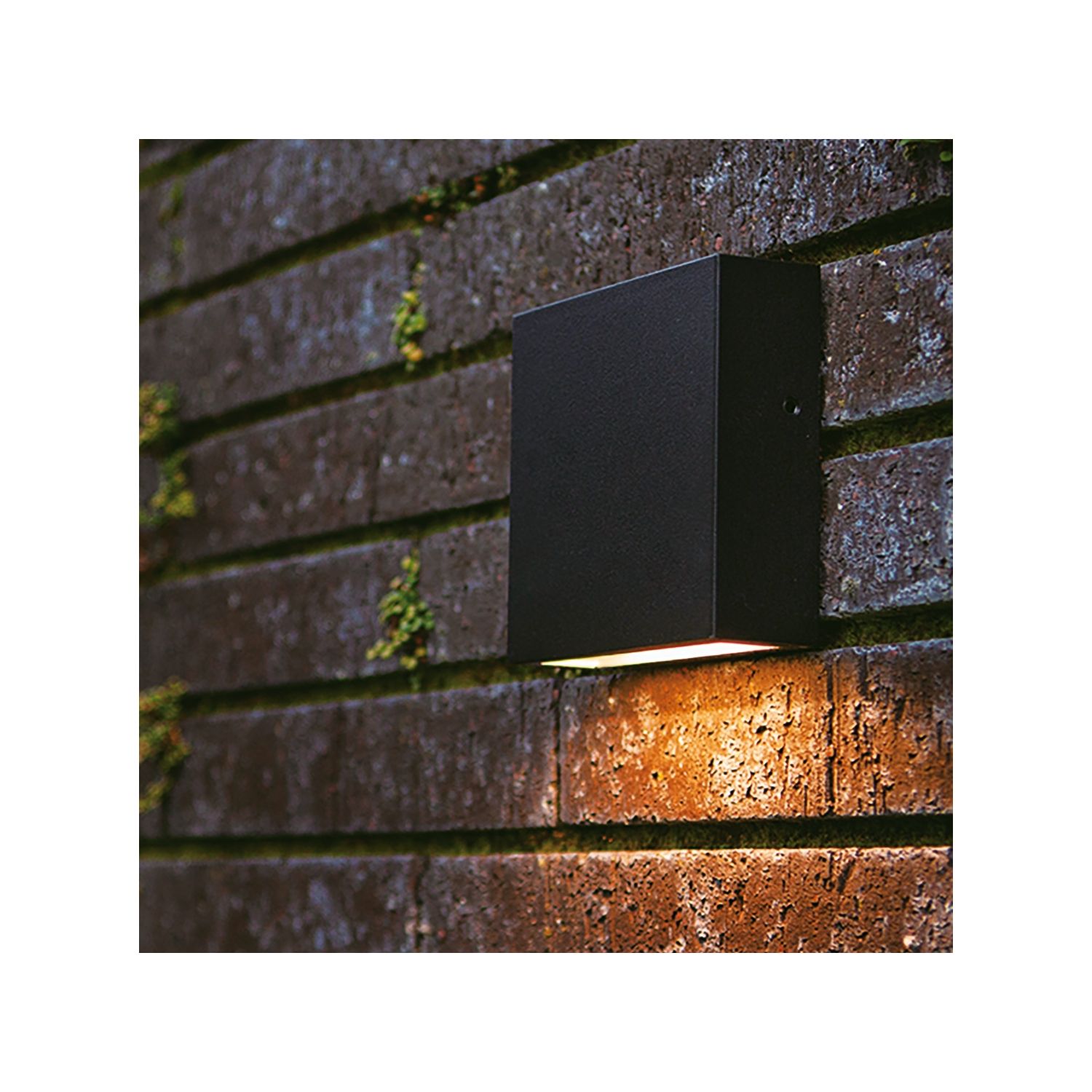 Lutec Gemini XF Outdoor LED Wall Light Black 7.4W 700lm (366AJ)