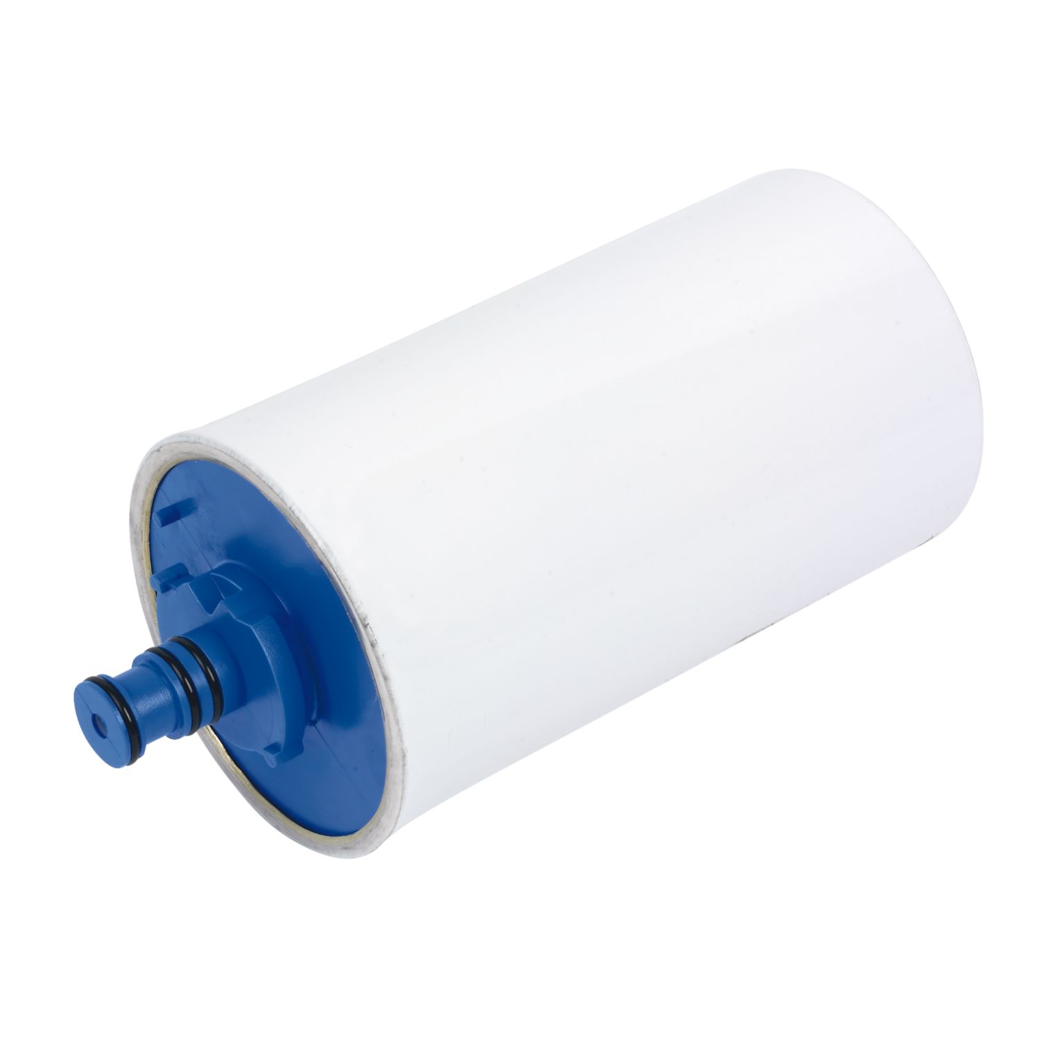 BWT Scale Inhibitor Replacement Cartridge (37876)