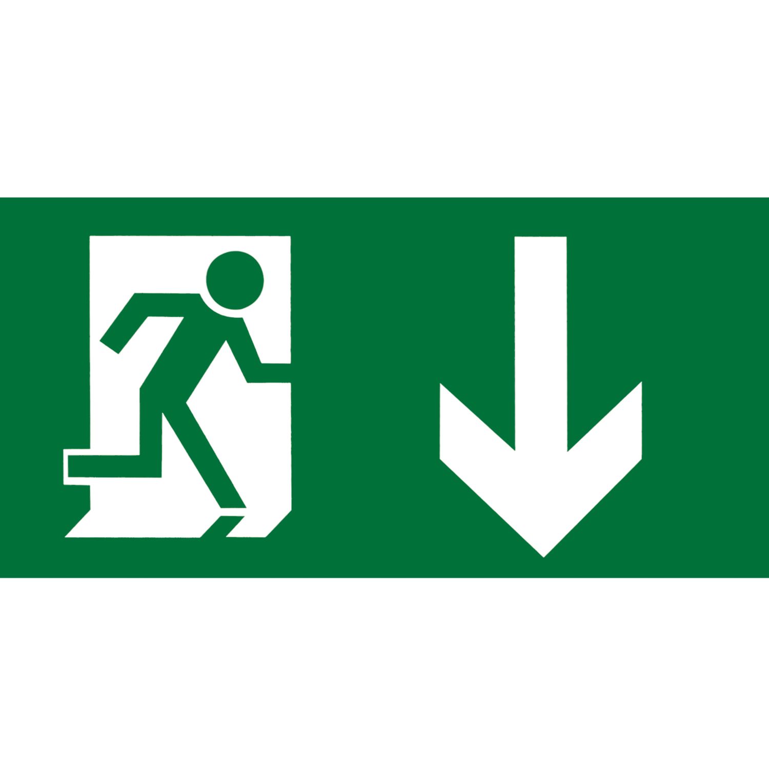 Aurora EN-LG2D Emergency Exit Down Legend 145mm x 290mm (661HK)