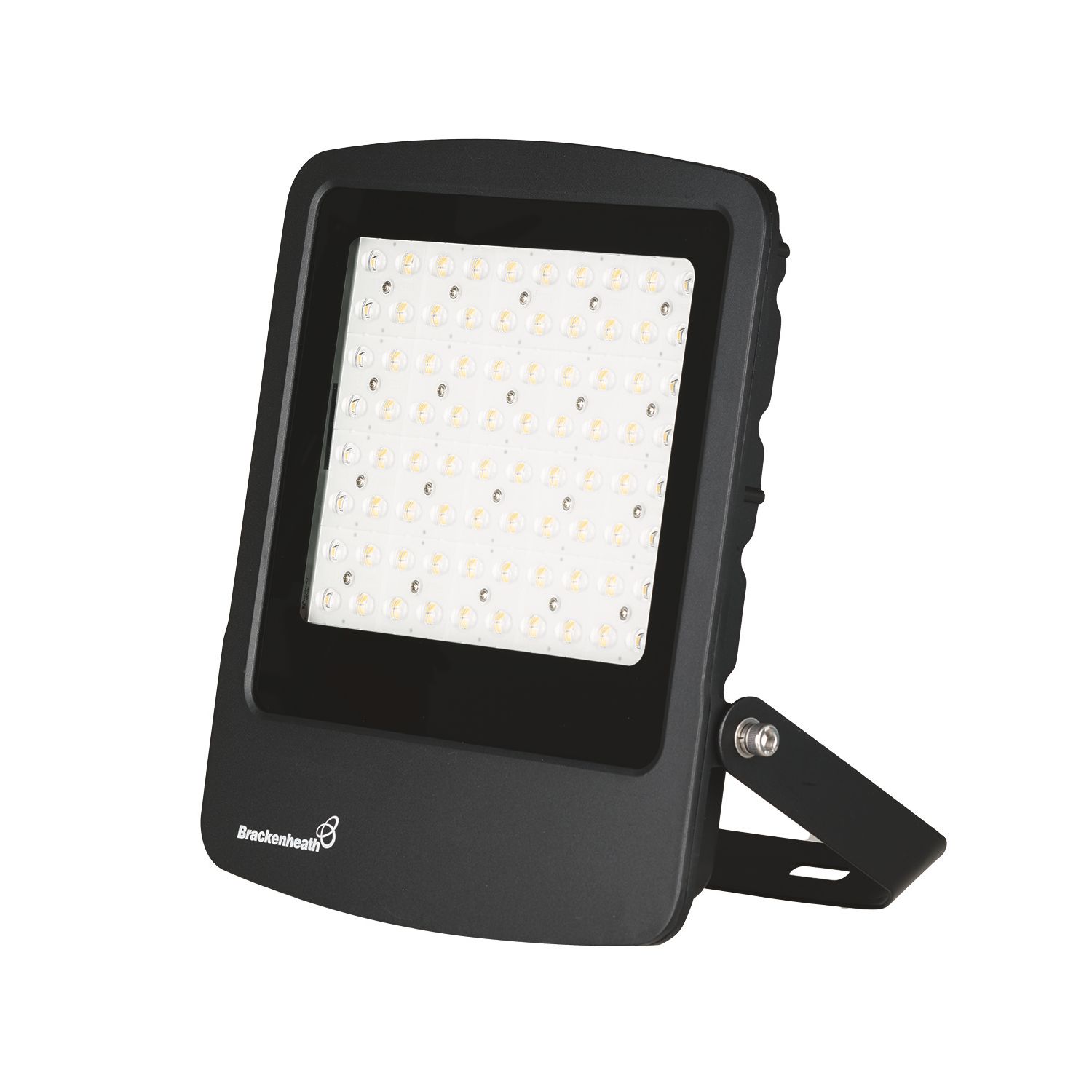 Brackenheath Rex Indoor & Outdoor LED Floodlight Black 200W 24,000lm (800TW)