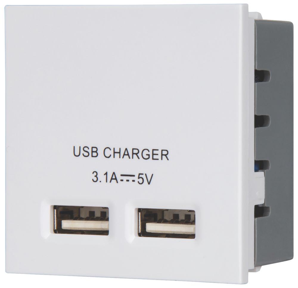 Image of LAP Modular 3.1A 2-Outlet Type A USB Socket White 