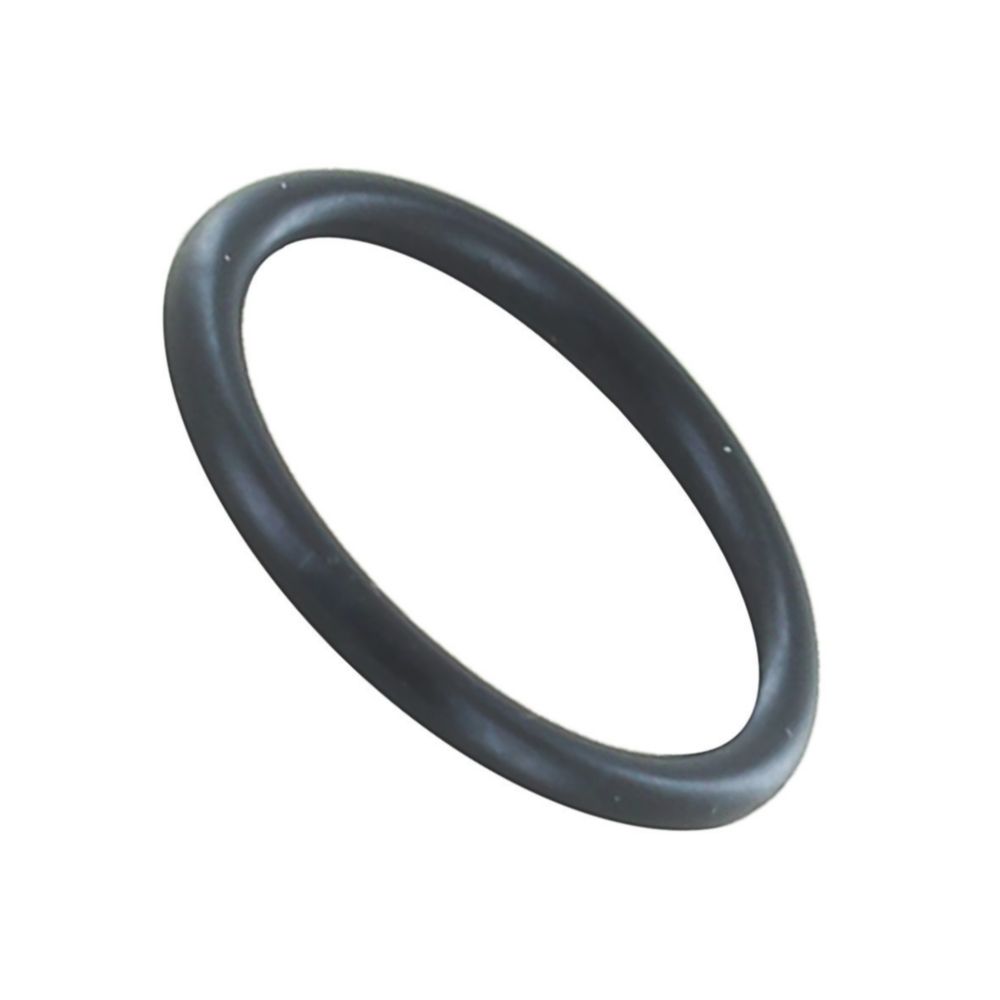 Image of Baxi 248053 ORING - VENTURI 