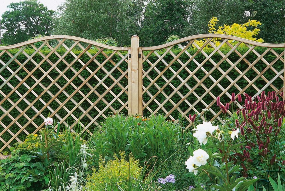 Image of Forest Hamburg Lattice Curved Top Garden Screens 6' x 6' 3 Pack 