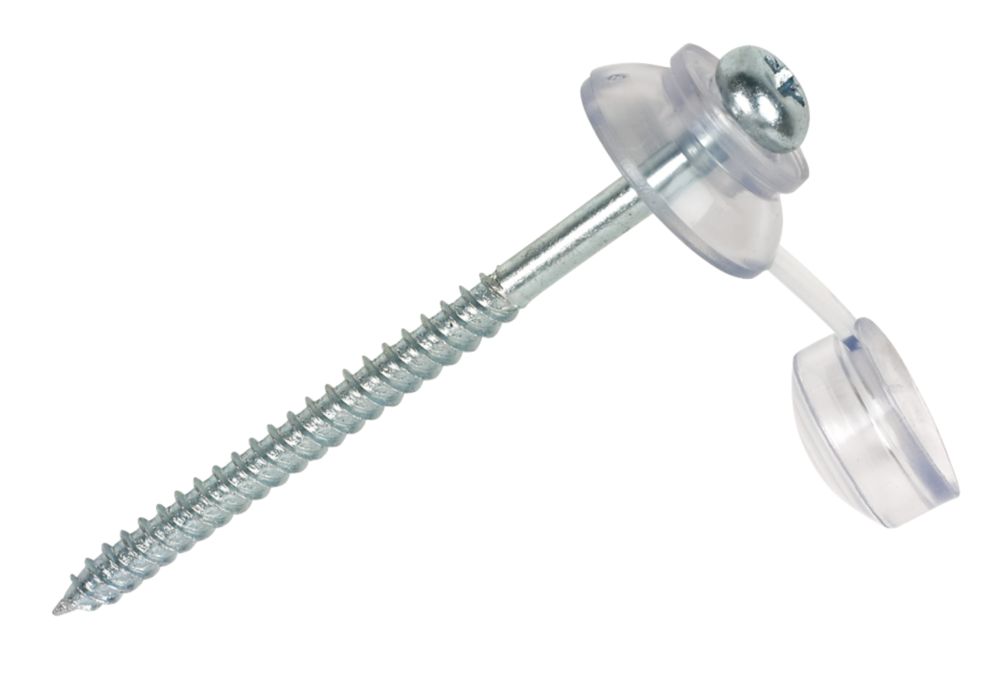 Image of Pan Roofing Screws 4mm x 60mm 20 Pack 