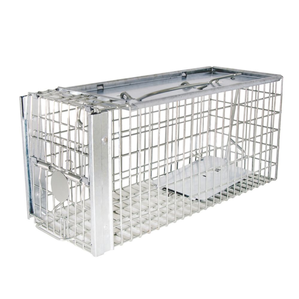 Image of The Big Cheese Ultra Power Galvanised Steel Rat & Squirrel Live Catch Cage 
