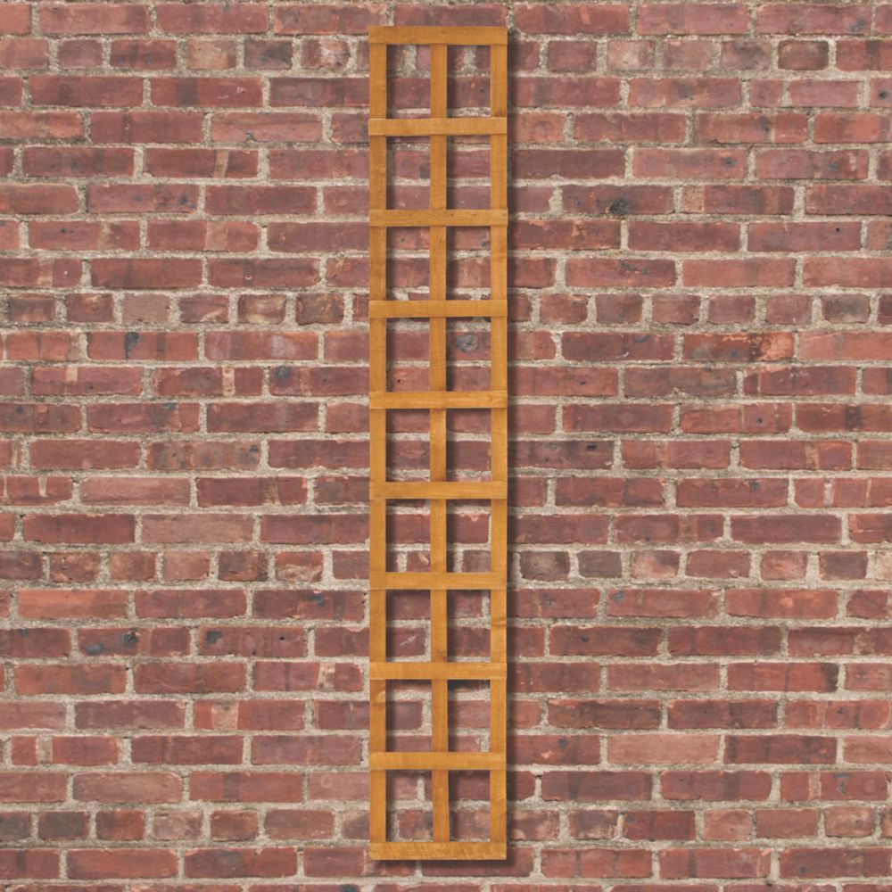 Image of Forest Softwood Tall Rectangular Trellis 1' x 6' 10 Pack 