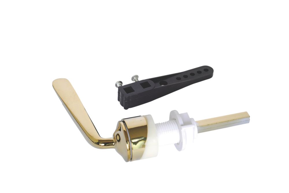 Image of Euroflo Single-Flush WC Cistern Lever Gold 