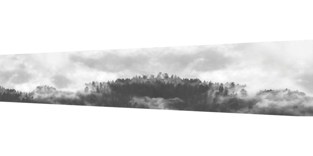 Image of Splashwall Misty Woods Acrylic Gloss Splashback 2440mm x 600mm x 4mm 
