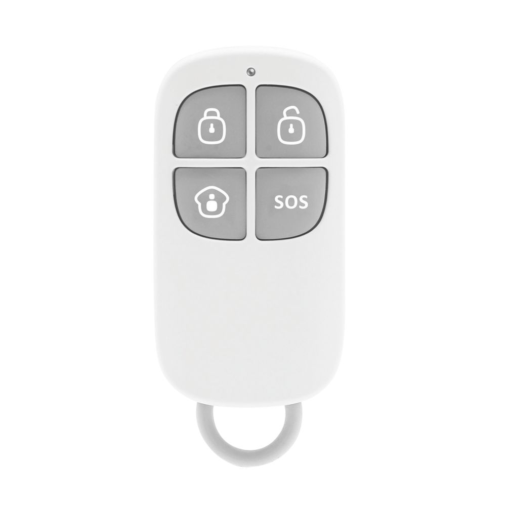 Image of ERA Remote Control Key Fob 