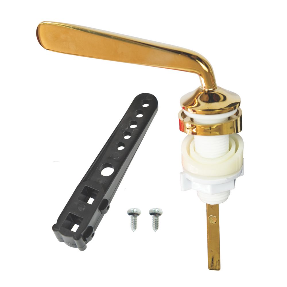 Image of Fluidmaster 22120 Dual-Flush Cistern Lever Gold Effect 