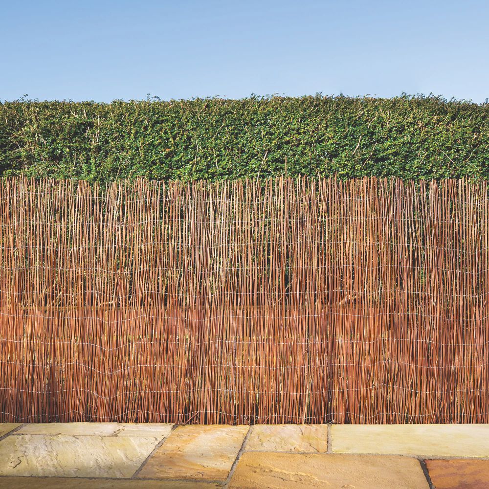 Image of Apollo Fern Roll-Up Screen 4m x 1m 