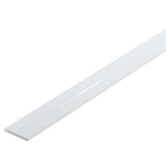 Image of Rothley White Plastic Flat Bar 1000mm x 24mm x 2mm 