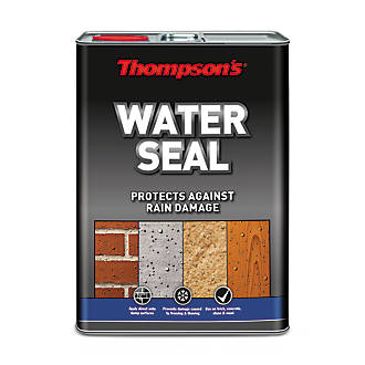 Image of Thompsons Water Seal Clear 5Ltr 