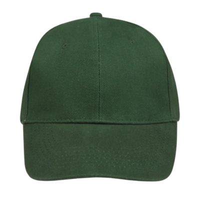 Vert bouteille