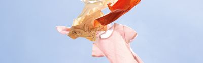 L’offre banner